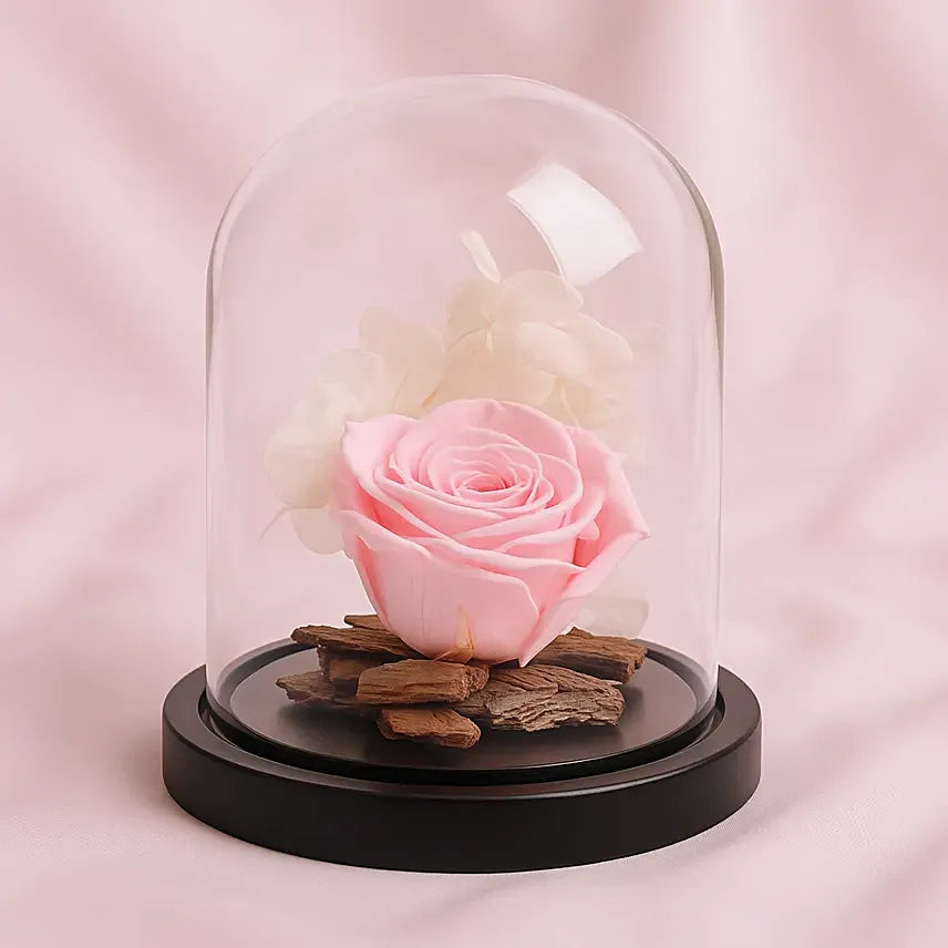 Graceful Pink Forever Rose