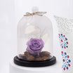 Forever Rose With Cushion n Mug For Mother