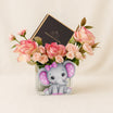 Welcome Baby Girl Flower Box With Chocolates