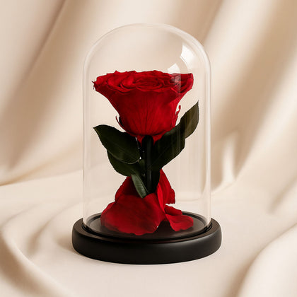 Eternal Flame Red Forever Rose