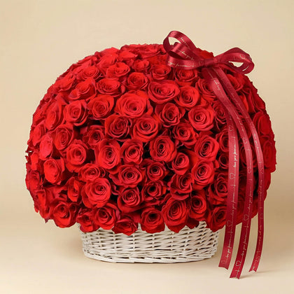 199 Red Roses Valentine Symphony