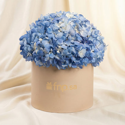 Blue Hydrangea Grand Box