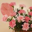  Pink Carnation Pearl Basket