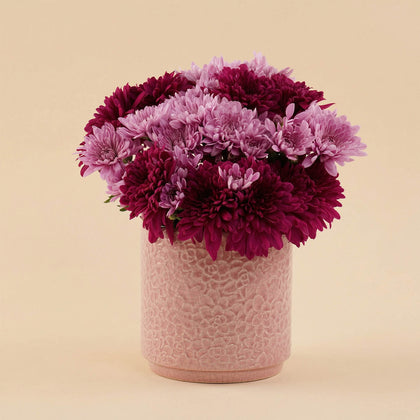 Chrysanthemum Flower Vase with Pink Cake