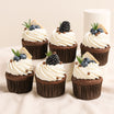 Summer Chocolate Cupcake Set