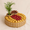 Chamaedorea Plant With Chocolate Basket