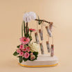 COngratulation Flowers and SAR1800 Money Arrangement