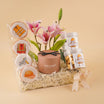 Graduation Hamper for Engineer