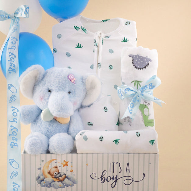 It's a Boy Congratulation Hamper
