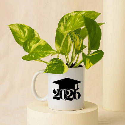 Plant in a Graduation Mug