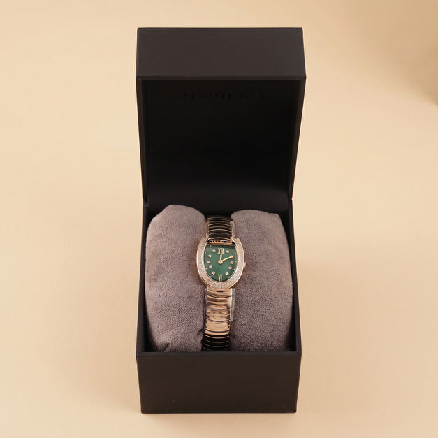 Luxury Cerruti 1881 Women's Watch