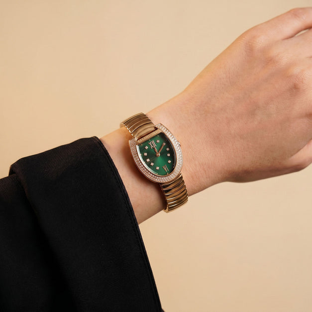 Luxury Cerruti 1881 Women's Watch