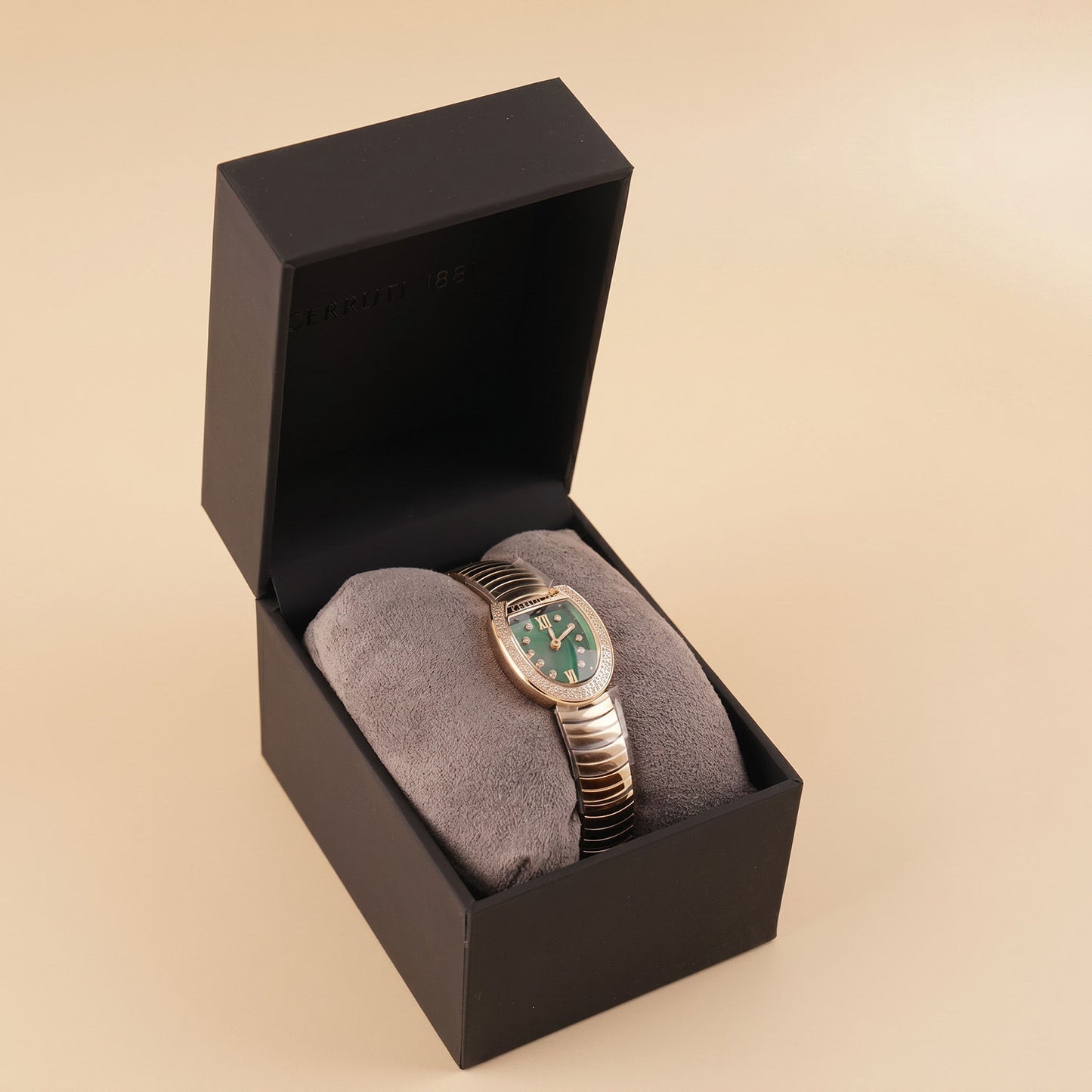 Luxury Cerruti 1881 Women's Watch