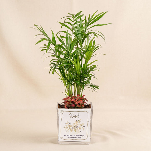 Chamidoria Gift for Dad