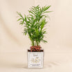 Chamidoria Gift for Dad