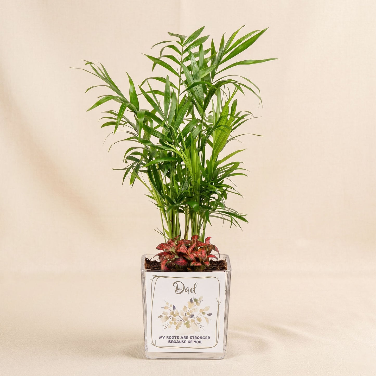 Chamidoria Gift for Dad