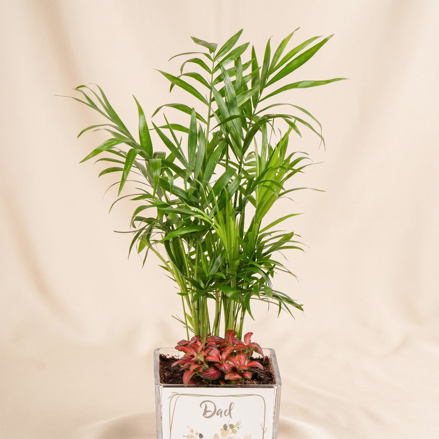 Chamidoria Gift for Dad