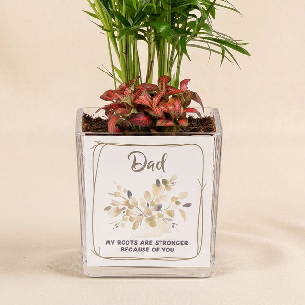 Chamidoria Gift for Dad