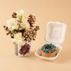Elegant Flower Vase with Chocolate Bento Cake