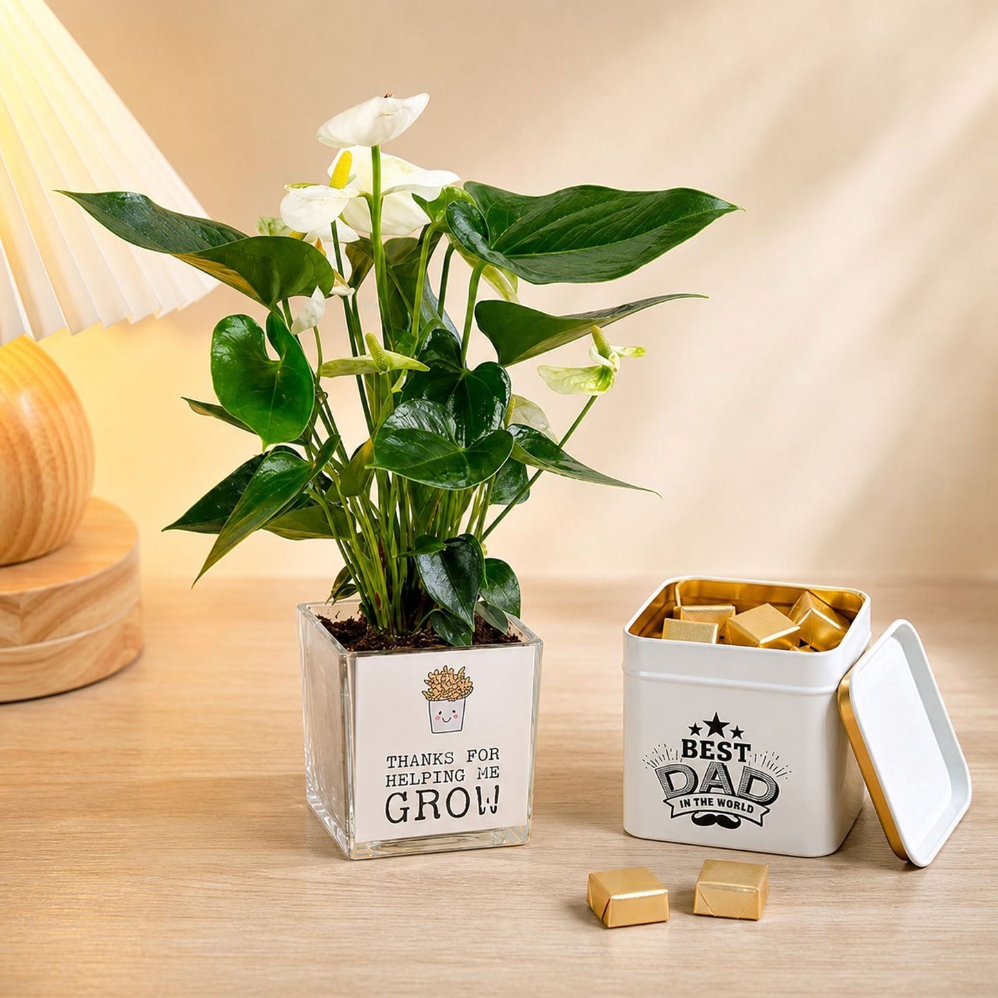 Father's Gift with Plant and Chocolate