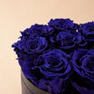 Blue Rose Box for Father's Day