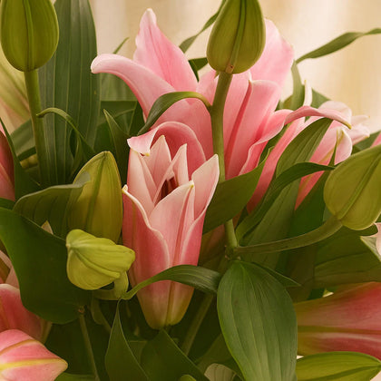 Timeless Beauty Lily Flower Crystal Vase