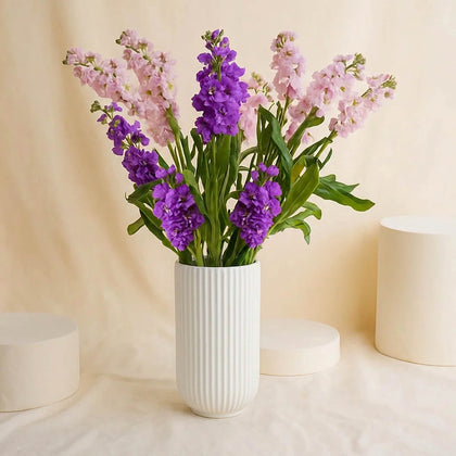 Graceful Matthiola Vase
