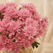 Chrysanths Charm Vase
