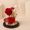 Dried Flowers | Red Forever Roses