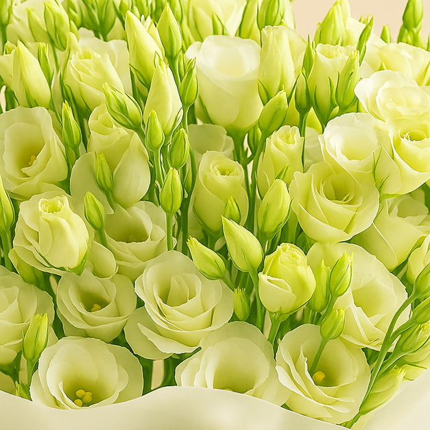For You With Love