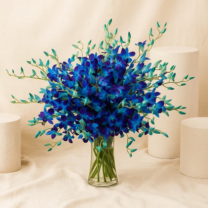 Mesmerizing Royal Blue Orchid Vase 