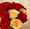 Fitna | Red n Peach Rose Bowl