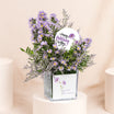 Birthday Wishes Aster Flowers Vase