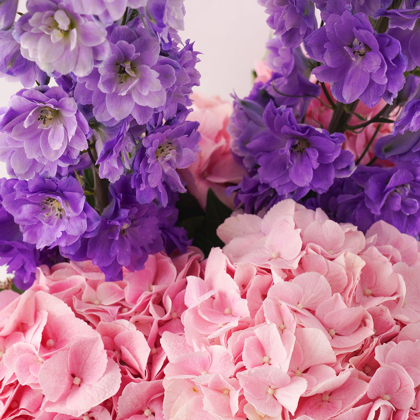 Graceful Delphinium n Hydrangea Vase