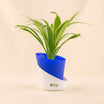 Green Trio Indoor Plant Set