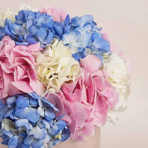 Hydrangea Harmony Flower Box