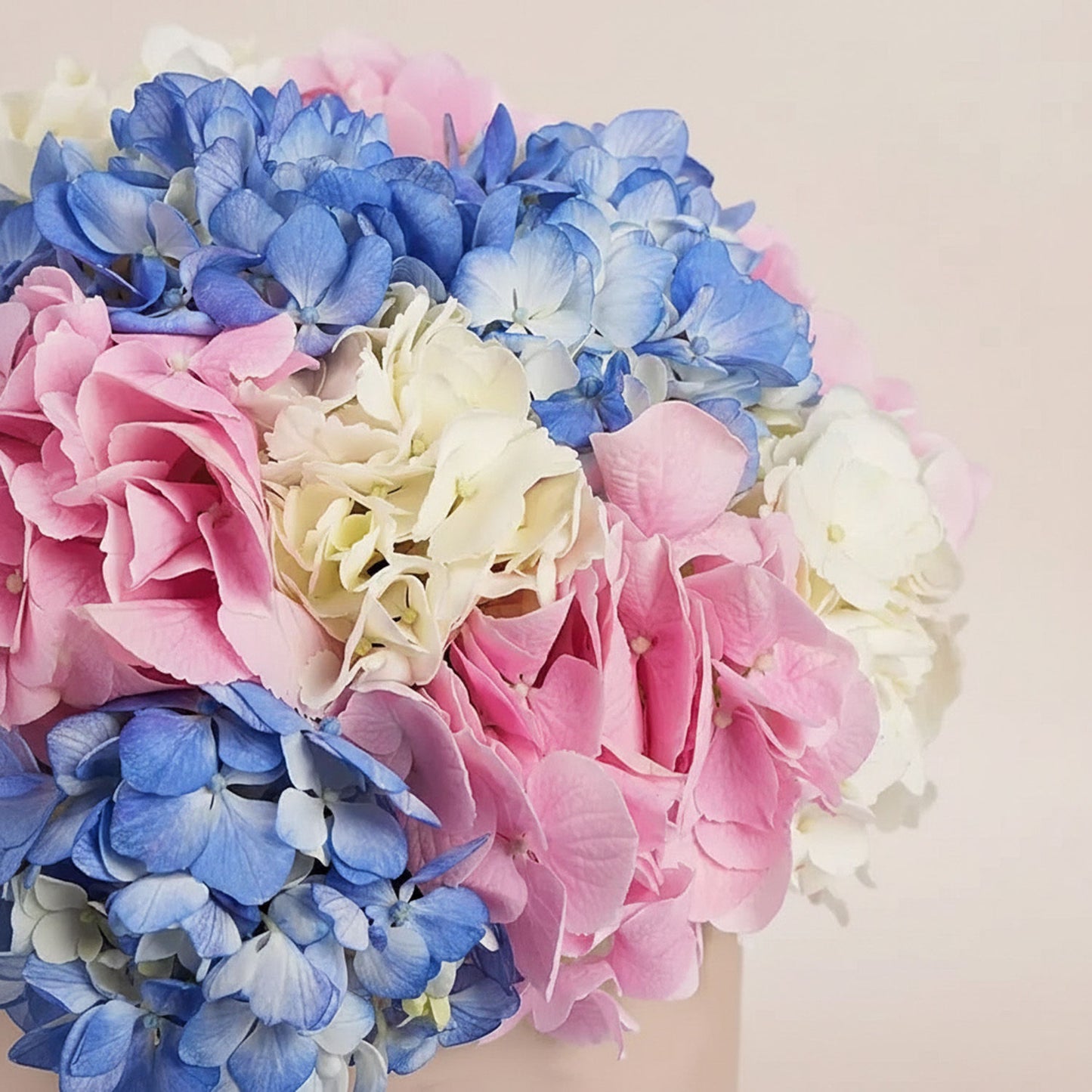 Hydrangea Harmony Flower Box