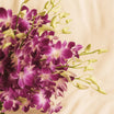 Orchid Charm | 38 Baby Orchids