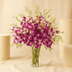 Orchid Charm | 38 Baby Orchids