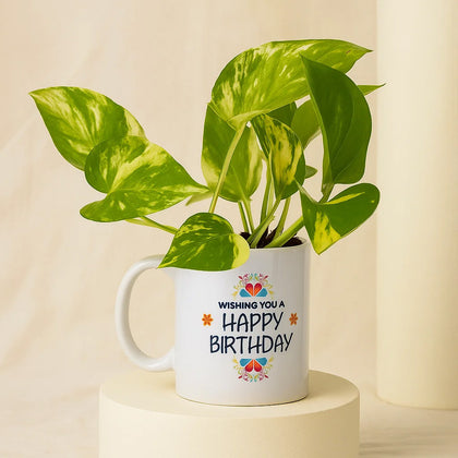 Money Plant In Happy Birthday Mug