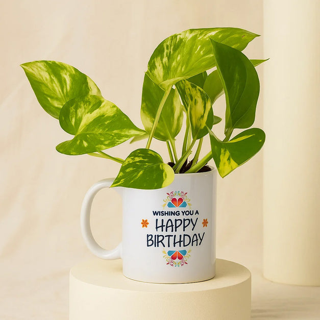 Money Plant In Happy Birthday Mug