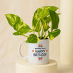 Money Plant In Happy Birthday Mug