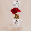 Rose n Chocolate Gift To My Teacher