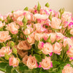 Rosy Tenderness Hand Tied Flower Bouquet