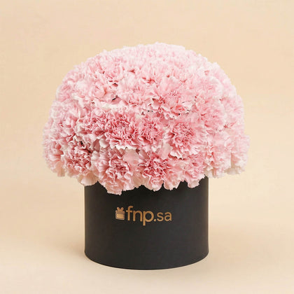 50 Pink Carnations Luxe Arrangement