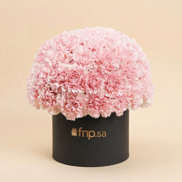 50 Pink Carnations Luxe Arrangement