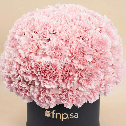 50 Pink Carnations Luxe Arrangement