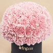 50 Pink Carnations Luxe Arrangement