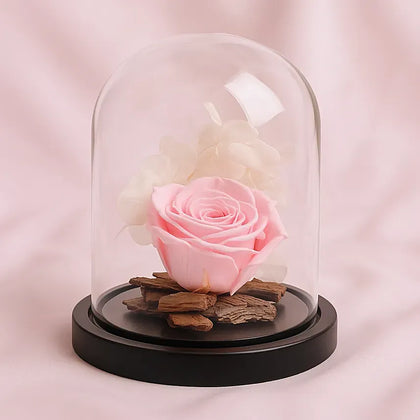 Graceful Pink Forever Rose